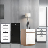 Steel Vertical Lockable Filing Cabinet with Drawers Image - 4