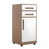 Steel Vertical White Filing Cabinet with Secure Storage Image - 25
