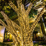 Stylish Beaded LED Outdoor Christmas String Lights Image - 3
