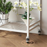 Stylish Rectangle Metal Black Plant Stand with Wheels Image - 12