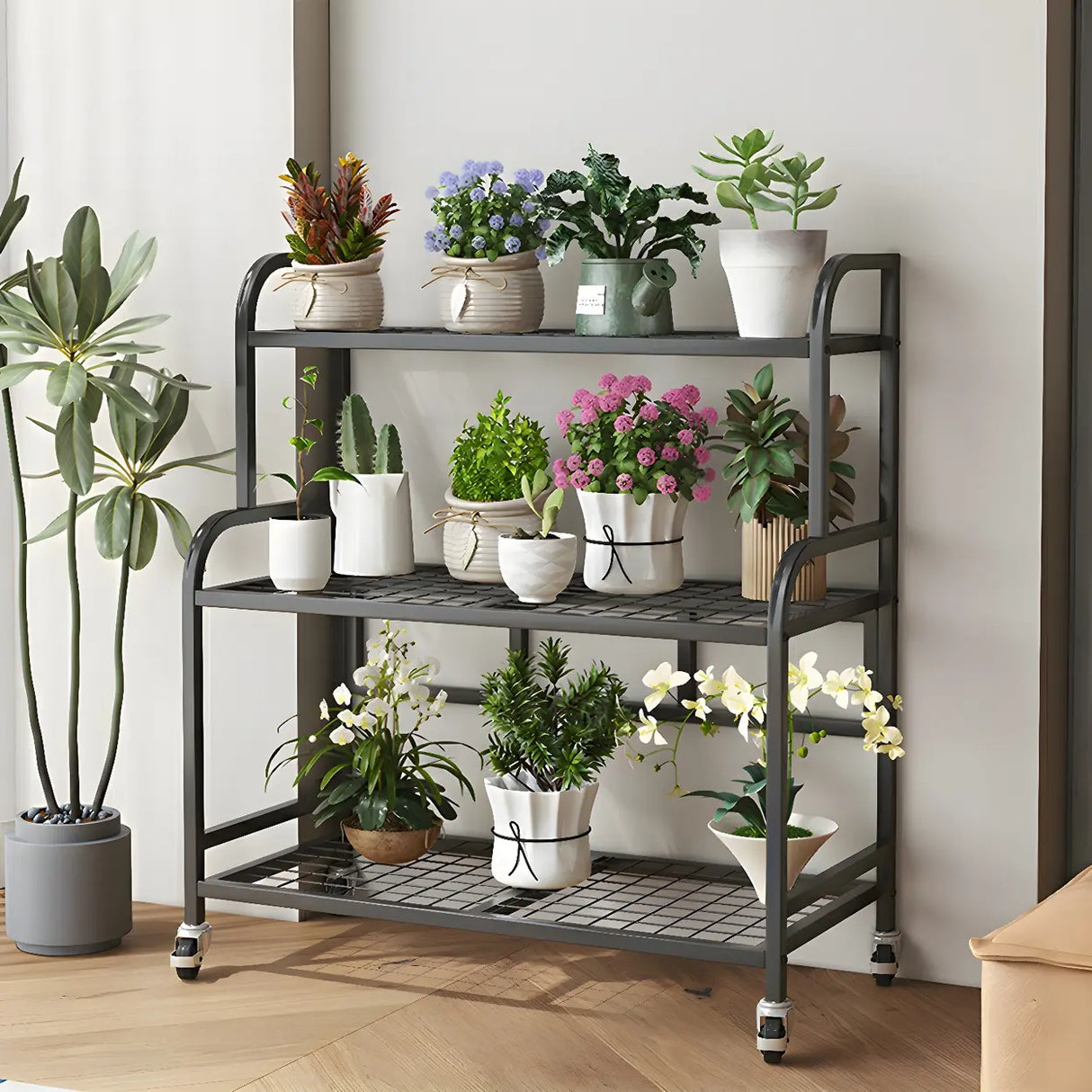 Stylish Rectangle Metal Black Plant Stand with Wheels Image - 17
