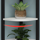 Stylish Triangular 5-Tier Wood Corner Plant Stand White Image - 7