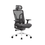 Swivel Ergonomic Mesh Adjustable Office Chair with Lumbar Image - 2