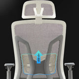 Swivel Ergonomic Mesh Adjustable Office Chair with Lumbar Image - 6
