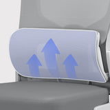Swivel Lumbar Support Adjustable Nylon Frame Office Chair Image - 6