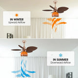 Tropical Leaf Orange Globe Remote Control Ceiling Fan Light Image - 6