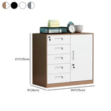 Vertical Steel Filing Cabinet with Lockable Drawers #size
