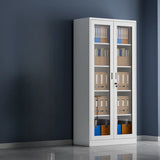 Vertical Steel Glass Door Grey Filing Cabinet Storage Image - 3