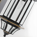Vintage Black Glass LED Exterior Wall Lantern Light Image - 10
