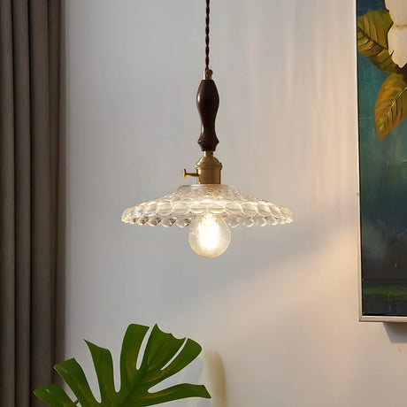 Vintage Brown Rounded Dome Clear Glass Pendant Light Image - 2