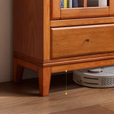Vintage Closed Glass Door Tall Oak Storage Bookcases Image - 6