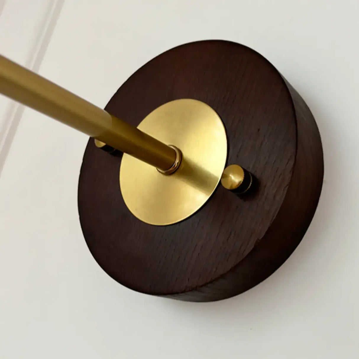 Vintage Flower Amber Glass Pendant Wall Sconce Light Image - 7