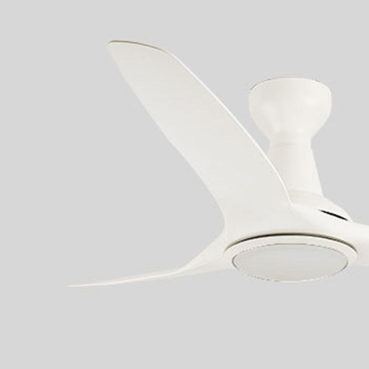 White Minimalist Ceiling Fan with LED Light Fixture Image - 9