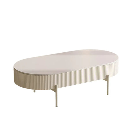 White Scratch Resistant Stone Oval Storage Coffee Table Image - 2