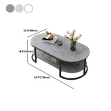 Wooden Oval Double Pedestal Coffee Table with Shelves Image - 20